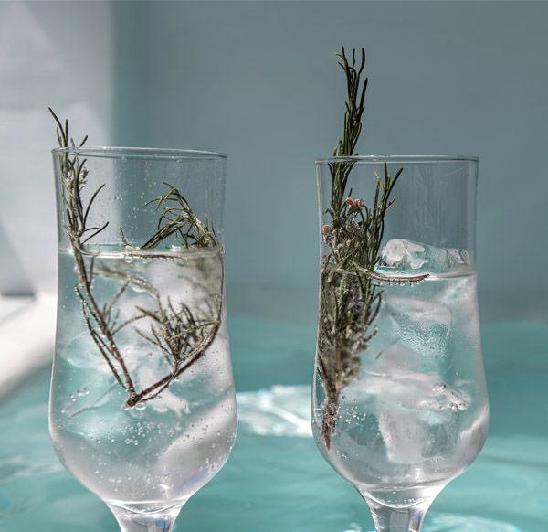 ORPHEUS SEMIBASEMENT SUITE